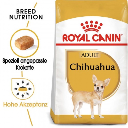 BHN Chihuahua 1.5kg